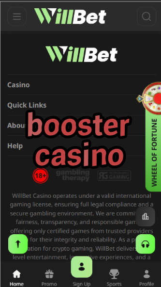 Booster Casino - Energy-Fueled Bonuses & Fast Cashouts-casinoorder.vip